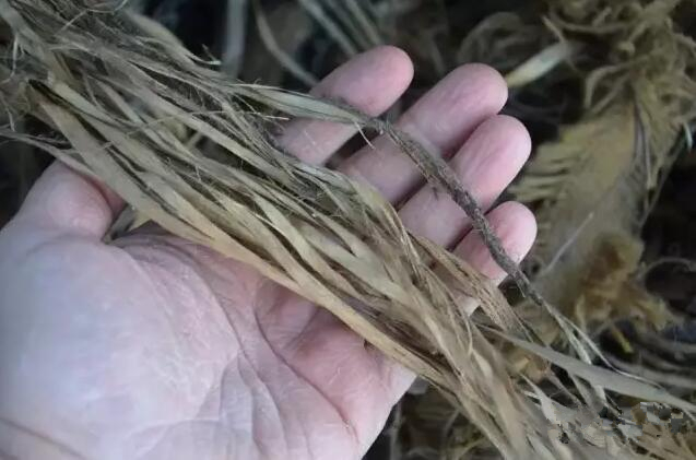 QQ截圖20180712164456 QQ截圖20180712164456