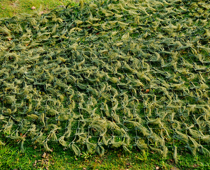 松針偽裝網 松針偽裝網